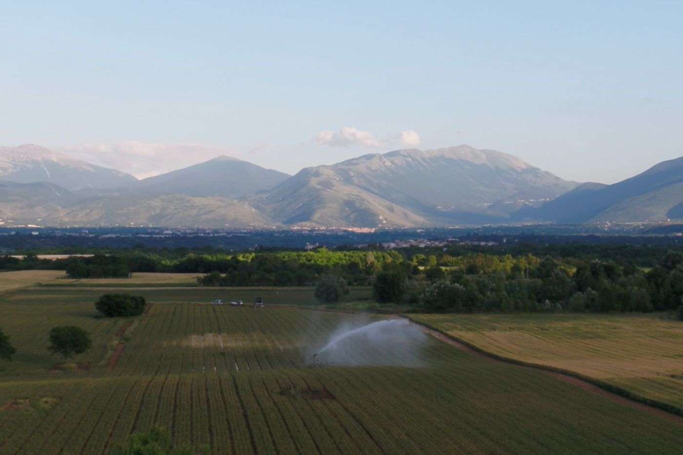 Azienda Agricola Vittorio D'Alessandro
