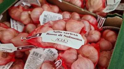 Aglio varietà Rosso di Sulmona