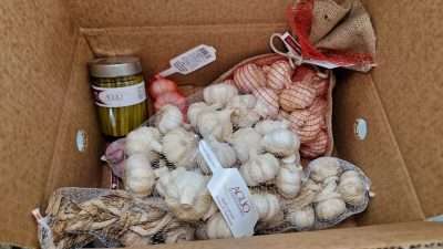 Produzione Aglio di Sulmona